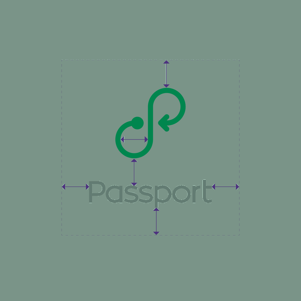 Passport Brand Identity and Style Guide